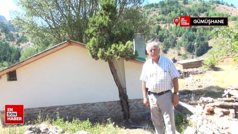 Gümüşhane'de ağaca uygun inşa edilen ev