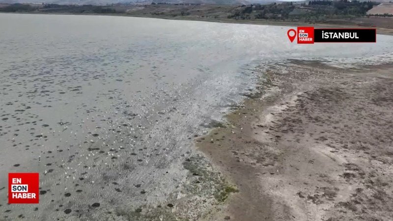 İstanbul’daki barajların su seviyesi 32.38 seviyelerine kadar geriledi