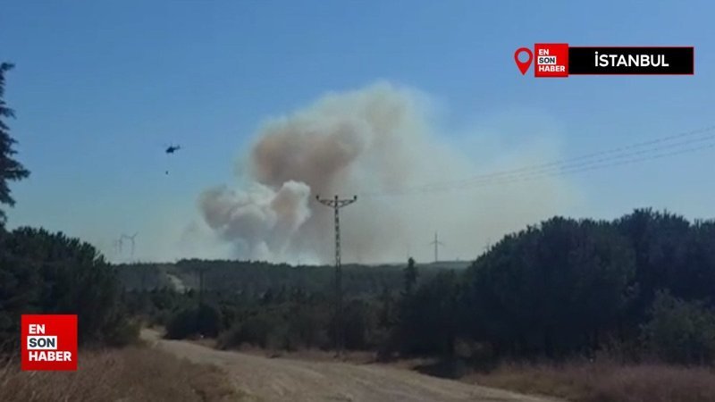 Silivri’de ormanlık alanda yangın