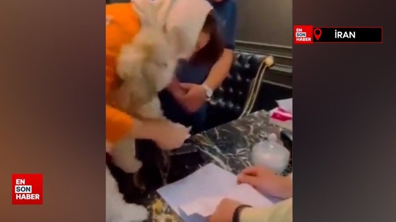 İran'da şaşkına çeviren olay: Evi bir köpeğe devretti