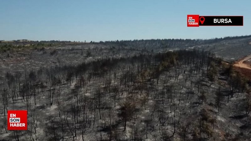 Bursa'da gece boyu süren orman yangını, kontrol altına alındı