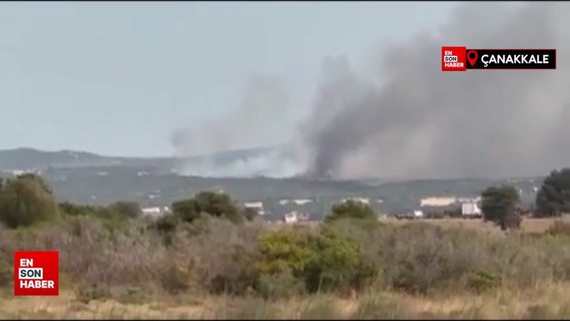 Çanakkale'de yeni yangın: Tarihi Gelibolu Yarımadası yanıyor