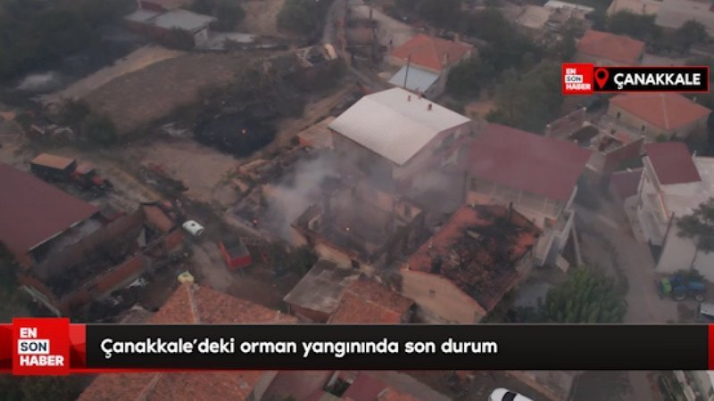 Çanakkale'deki orman yangınında son durum
