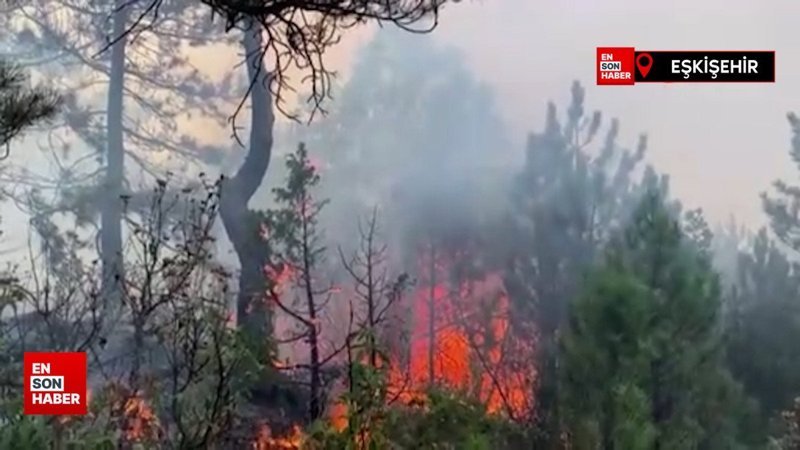 Eskişehir'deki orman yangınına müdahale sürüyor