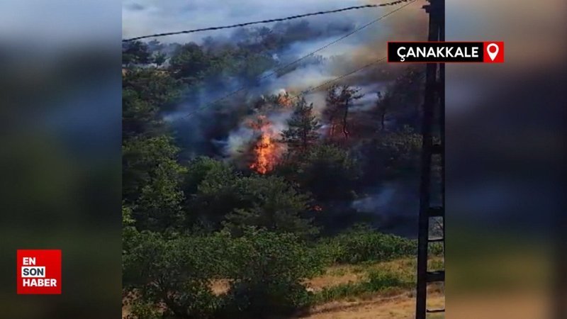 Çanakkale'deki orman yangınının çıktığı ilk anlar görüntülendi
