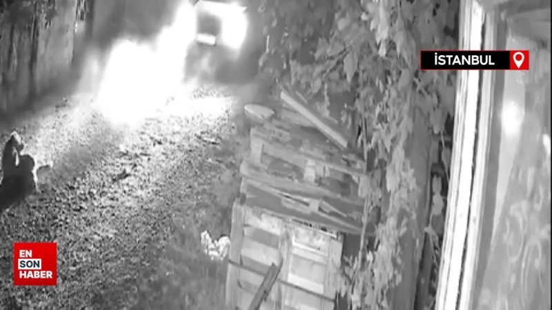 Başakşehir’de köpeği ezen sürücü kaçtı