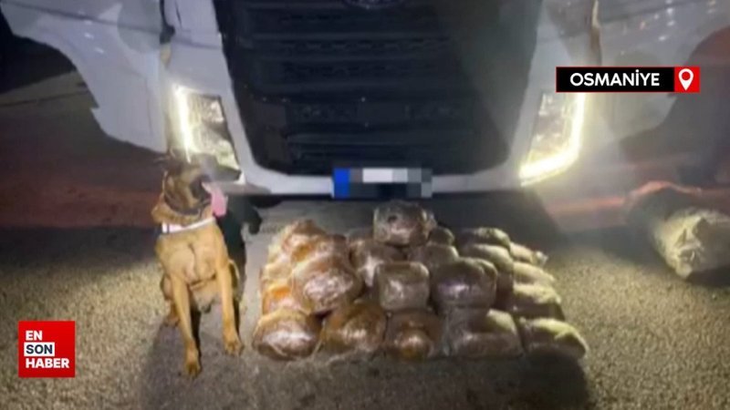 Osmaniye'de arpa yüklü tırda 40 kilo skunk ele geçirildi