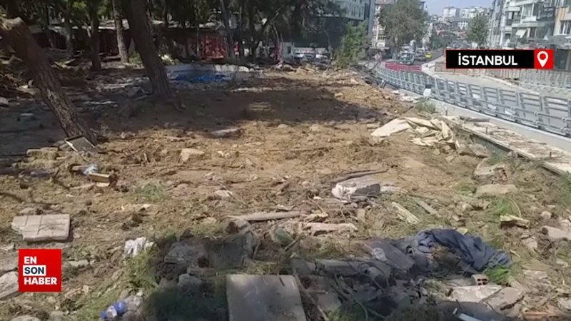 İBB tarafından yapılan Maltepe Meydan Projesi kapsamında 17 çam ağacı söküldü