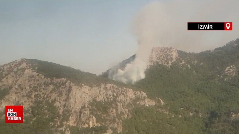 İzmir’in Kemalpaşa ilçesinde orman yangını