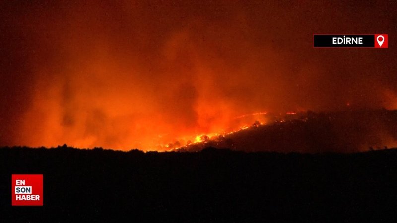 Bulgaristan'ın Türkiye sınırında orman yangını