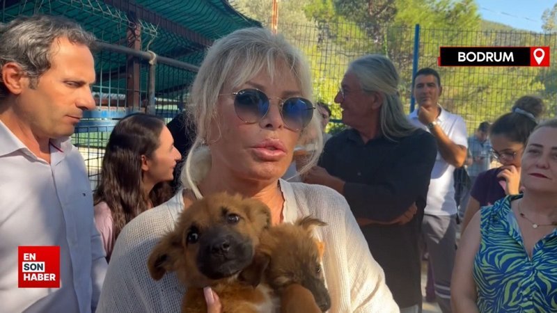 Ajda Pekkan sokak köpeklerine sahip çıktı: Çocukları bu konuda eğitelim