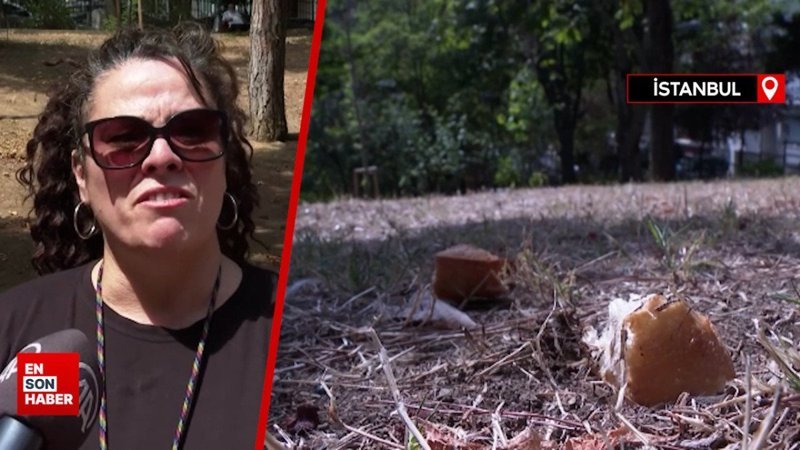 Beşiktaş Abbasağa Parkı'ndaki bakımsızlık, vatandaşların tepkisine neden oldu