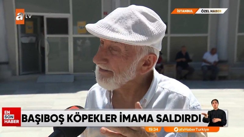 İstanbul'da başıboş köpekler imama saldırdı