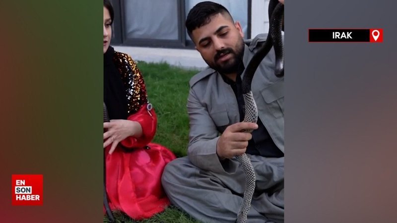 Irak'ta evinde beslediği yılanların yağından geçimini sağlıyor