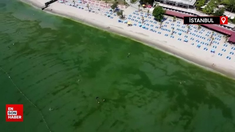 Kapatılan Florya Sahilinde deniz yeşile büründü