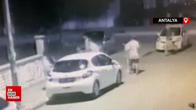 Antalya'da köpekli kadına pitbull saldırdı