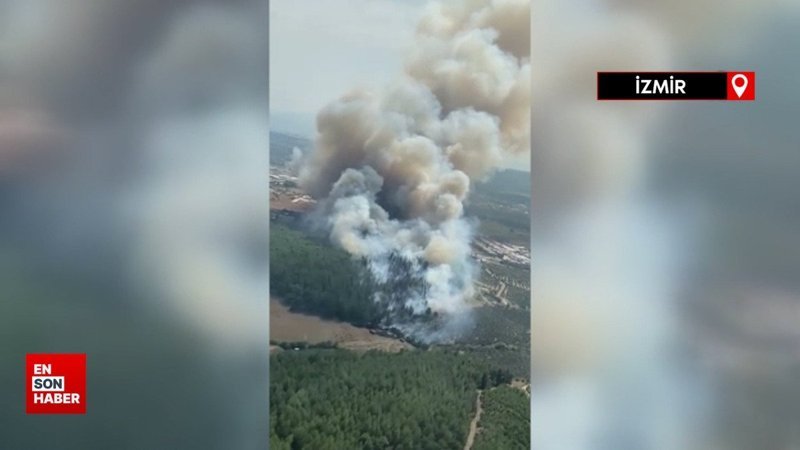 İzmir'de orman yangını çıktı