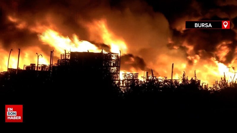 Bursa'da soğuk hava deposunda yangın