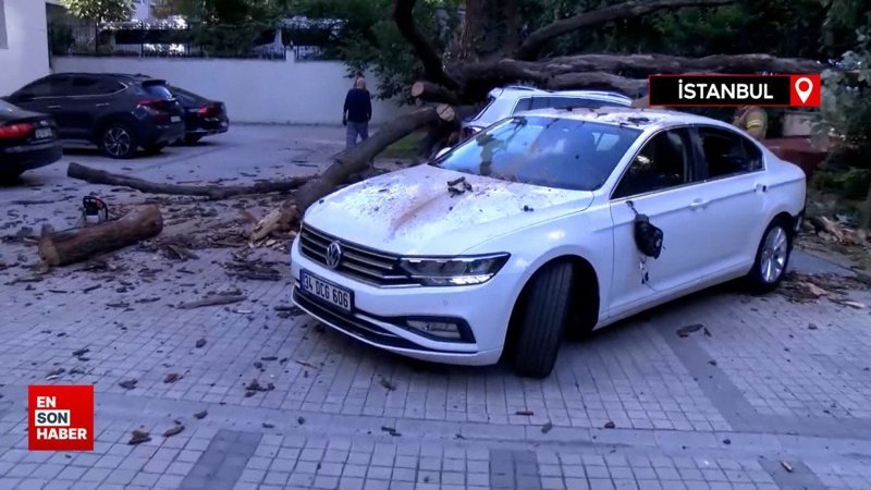 İstanbul’da rüzgar ağacı aracın üzerine devirdi! 51 daire icralık oldu