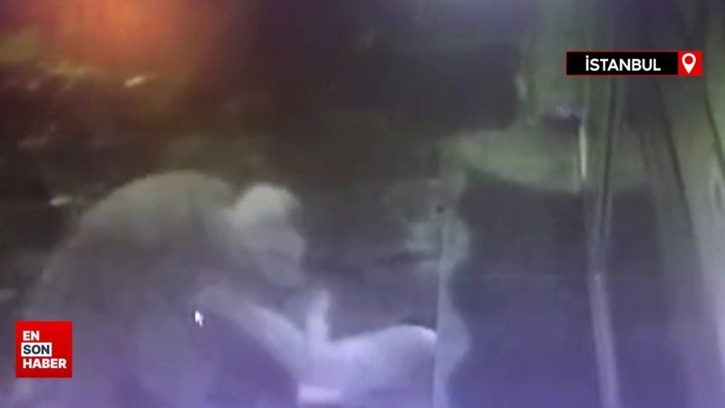 İstanbul'da kadına şiddet! Nişanlısı tarafından pompalı tüfekle darbedildi