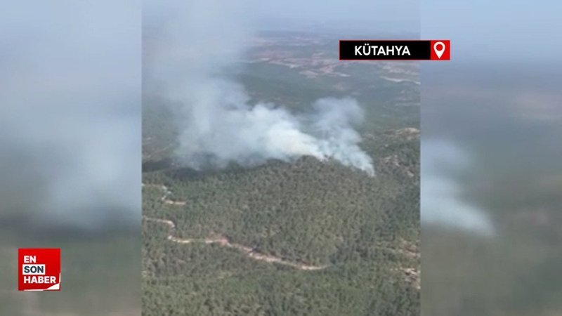Kütahya'da orman yangını