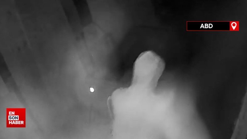 ABD'de heykel hırsızlığı: 1,5 milyon dolarlık Buda heykelini çaldılar