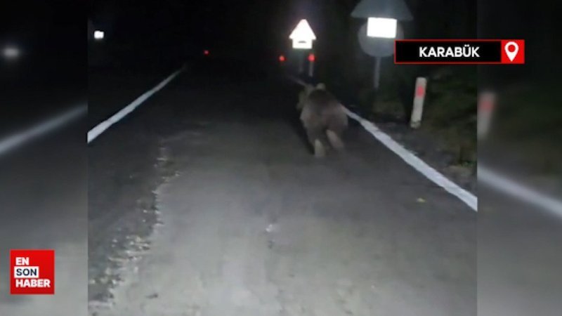 Karabük'te önüne çıkan ayıyı aracıyla kovaladığı anları kaydetti