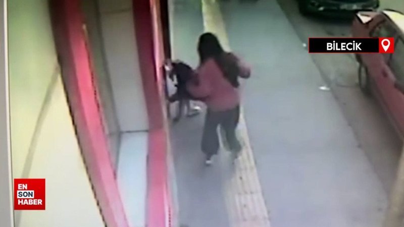 Bilecik'te sahibiyle gezen köpek 7 yaşındaki çocuğa saldırdı