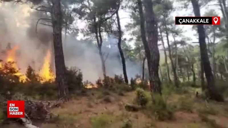 Gelibolu'da yıldırım düşmesi sonucu bir yangın daha