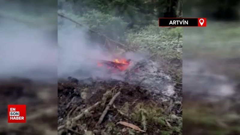 Ağaca yıldırım düştü, ormanda yangın çıktı