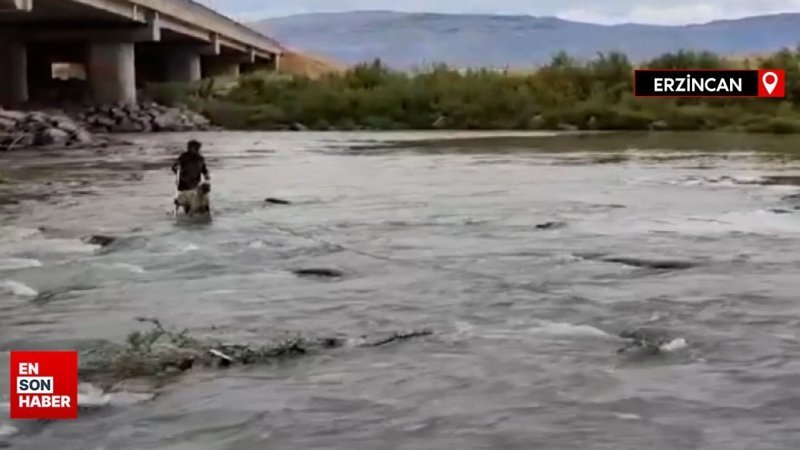 Erzincan'da nehirde mahsur kalan köpek kurtarıldı