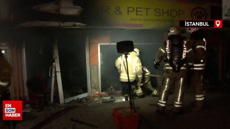 İstanbul Maltepe'de yangın: Çok sayıda hayvan telef oldu