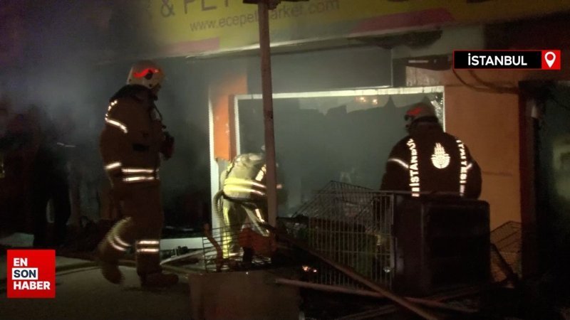 Maltepe’de petshop’ta çıkan yangın çok sayıda kuşu telef etti