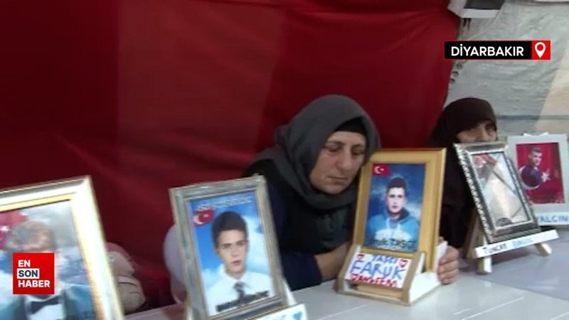 Diyarbakır'da evlat hasreti çeken anneler nöbette