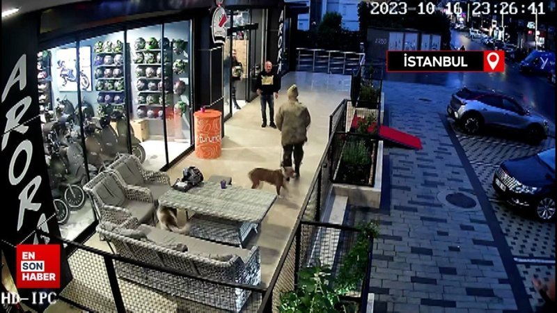 Avcılar'da Pitbulllu bıçaklı saldırgan