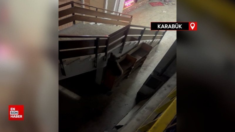 Yavru ayı iş merkezine girip sokakta koştu