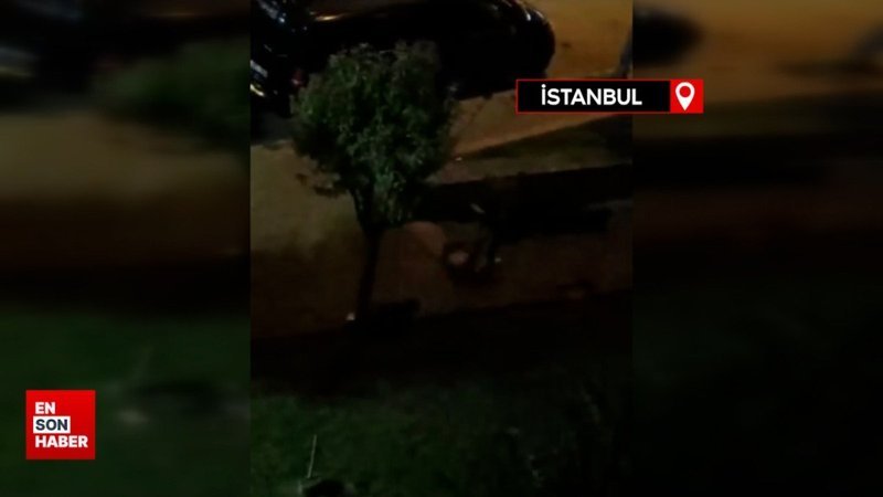 Güngören'de 2 gencin kavgasında ilginç anlar: Hem fotoğrafını çekti hem dövdü