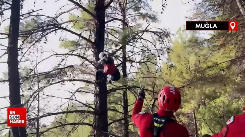 Fethiye’de yamaç paraşütü ile ağaçta mahsur kalan kazazede kurtarıldı