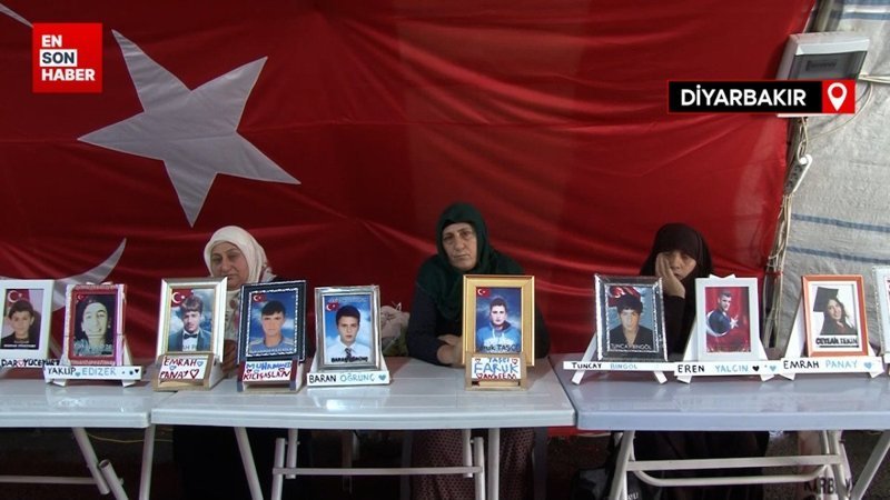 Diyarbakır anneleri bin 513 gündür evlat nöbetinde