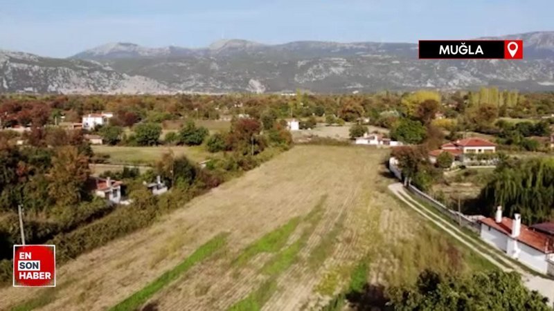 Muğla'daki bu yaylaya çıkılmıyor, iniliyor