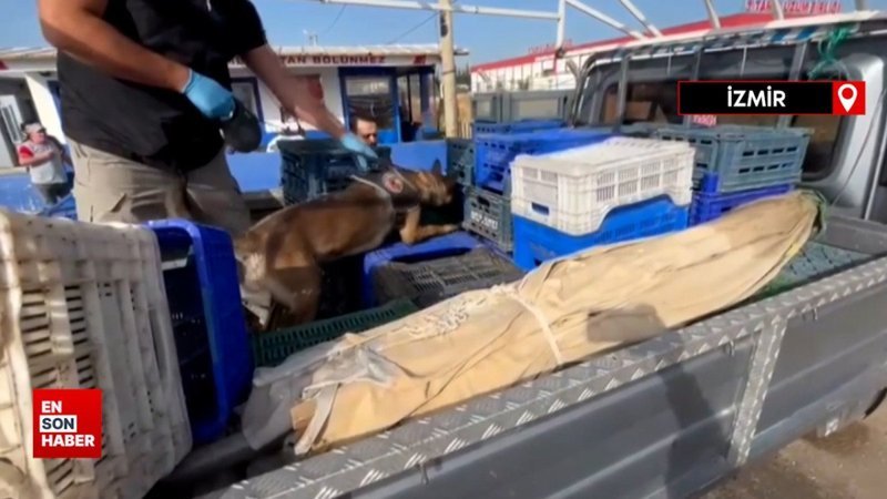 İzmir'de uyuşturucu operasyonu: Kamyonet kasasında 21 kilo esrar bulundu