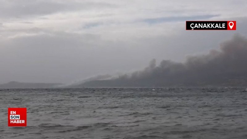 Çanakkale’de orman yangını