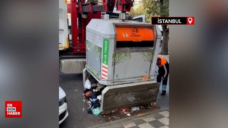 Kadıköy'de yağıştan korunmak için çöp konteynerinde iki gün kaldı: Vinçle çıkarıldı
