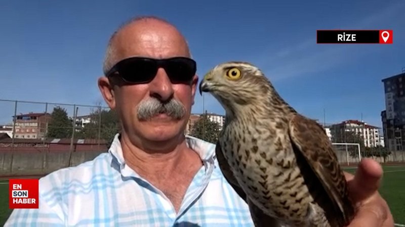 Rize’nin en güzel atmacalarını seçtiler