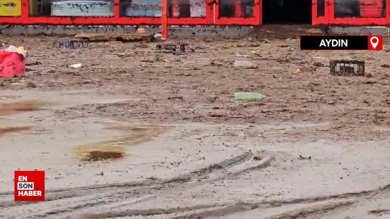 Aydın'da sağanak sele neden oldu