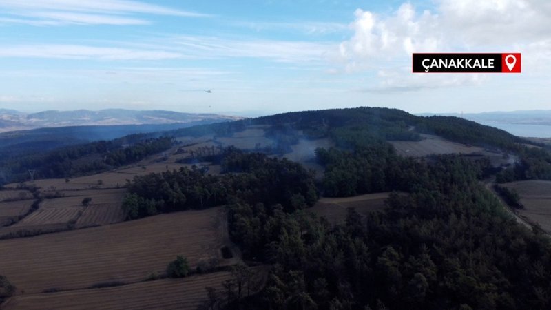 Çanakkale'deki orman yangınında soğutma çalışmaları sürüyor