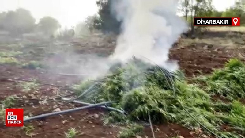 Diyarbakır'da uyuşturucu operasyonu: Terör örgütünün finans kaynağına darbe vuruldu