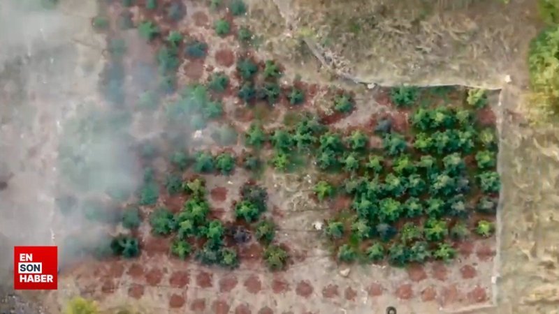 15 ilde Narkogüç operasyonu: 199 şüpheli yakalandı