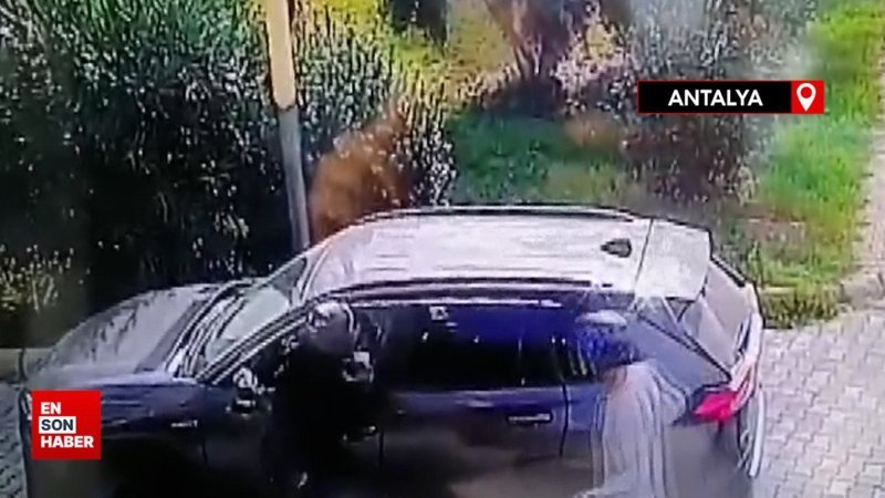 Alanya'da parasını gasbeden motosikletli 2 şüpheliyi çarparak öldürdü