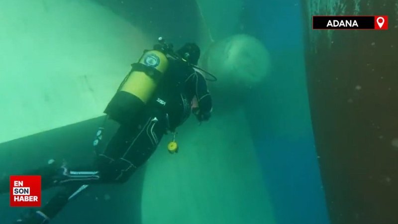 Adana'da kuru yük gemisinde 51 Kilo 750 Gr kokain ele geçirildi